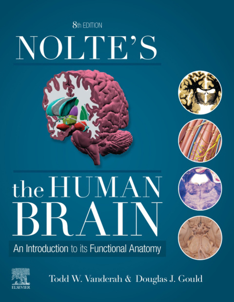 Nolte’s The Human Brain